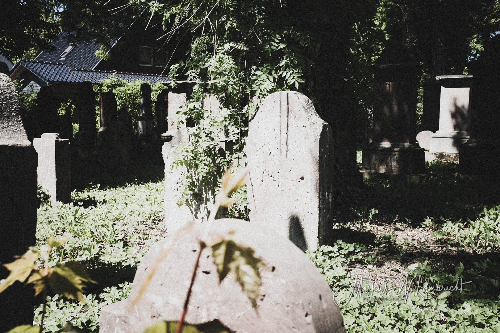 Einbeck, Jüdischer Friedhof